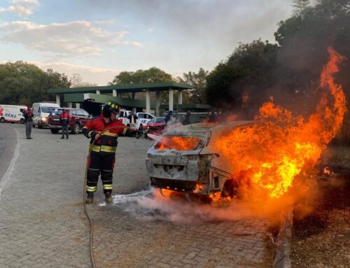 Car burst into flames in head-on collision