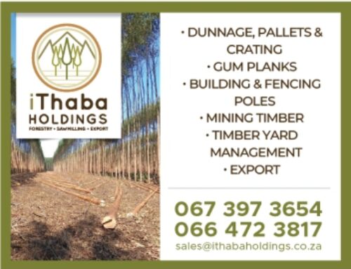 iThaba Holdings